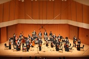 KOIKE STRINGS